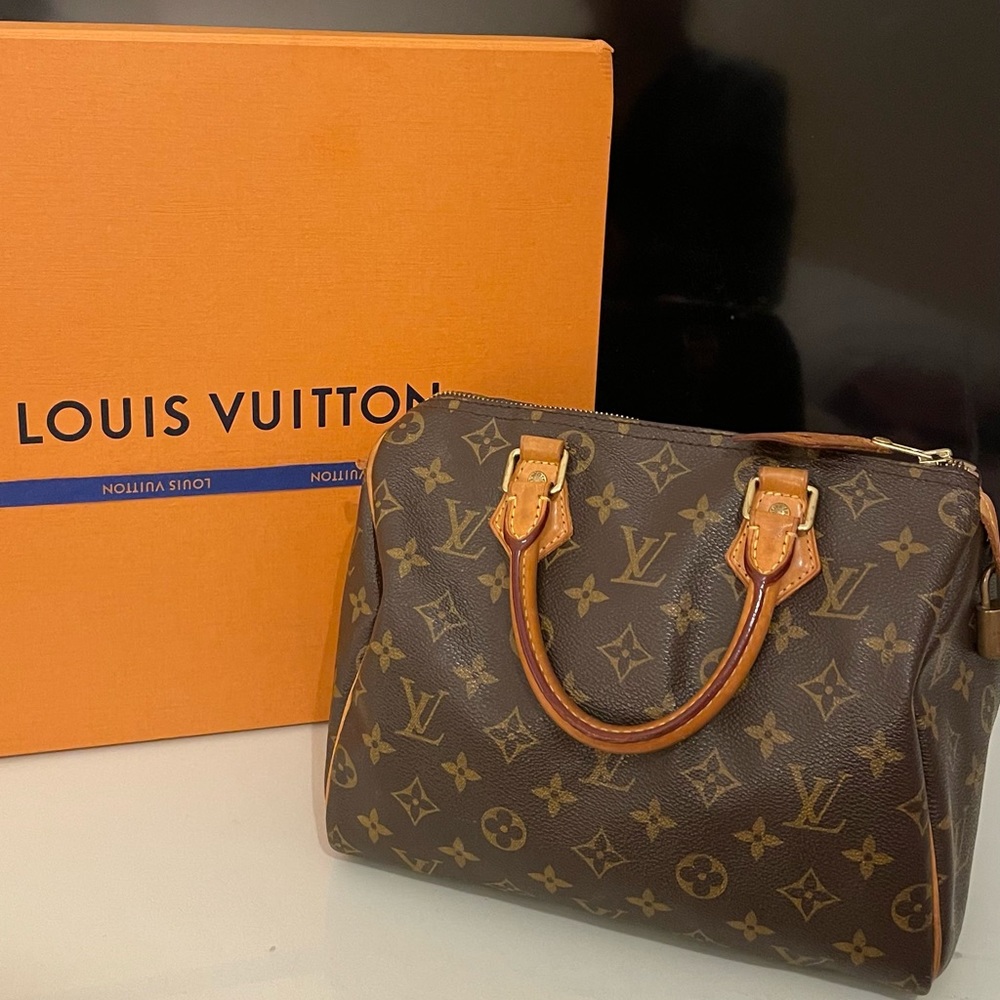 LOUIS VUITTON speedy handbag